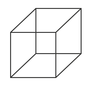 Necker Cube